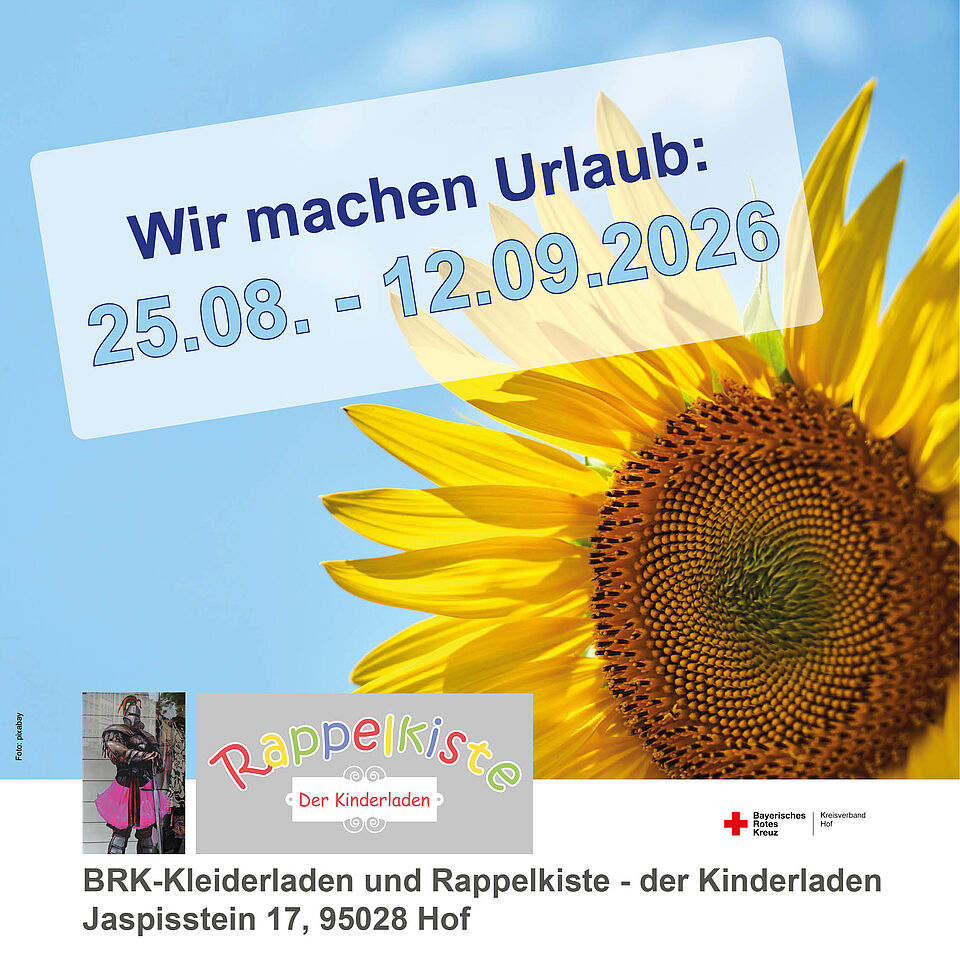 Urlaub_KL_Raki_insta Sonnenblume vor blauem Himmel