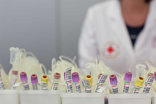 Blutröhrchen stehen in Körben