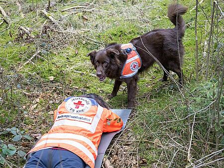 Rettungshund findet Person