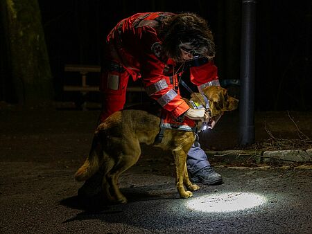 Einsatz Rettungshund bei Dunkelheit