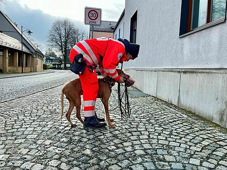 Ein Retttungshundeführer zeigt seinem rettungshund den spezifischen Geruch einer vermissten Person